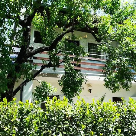 Felix Apartment Biograd Biograd Na Moru Ngoại thất bức ảnh
