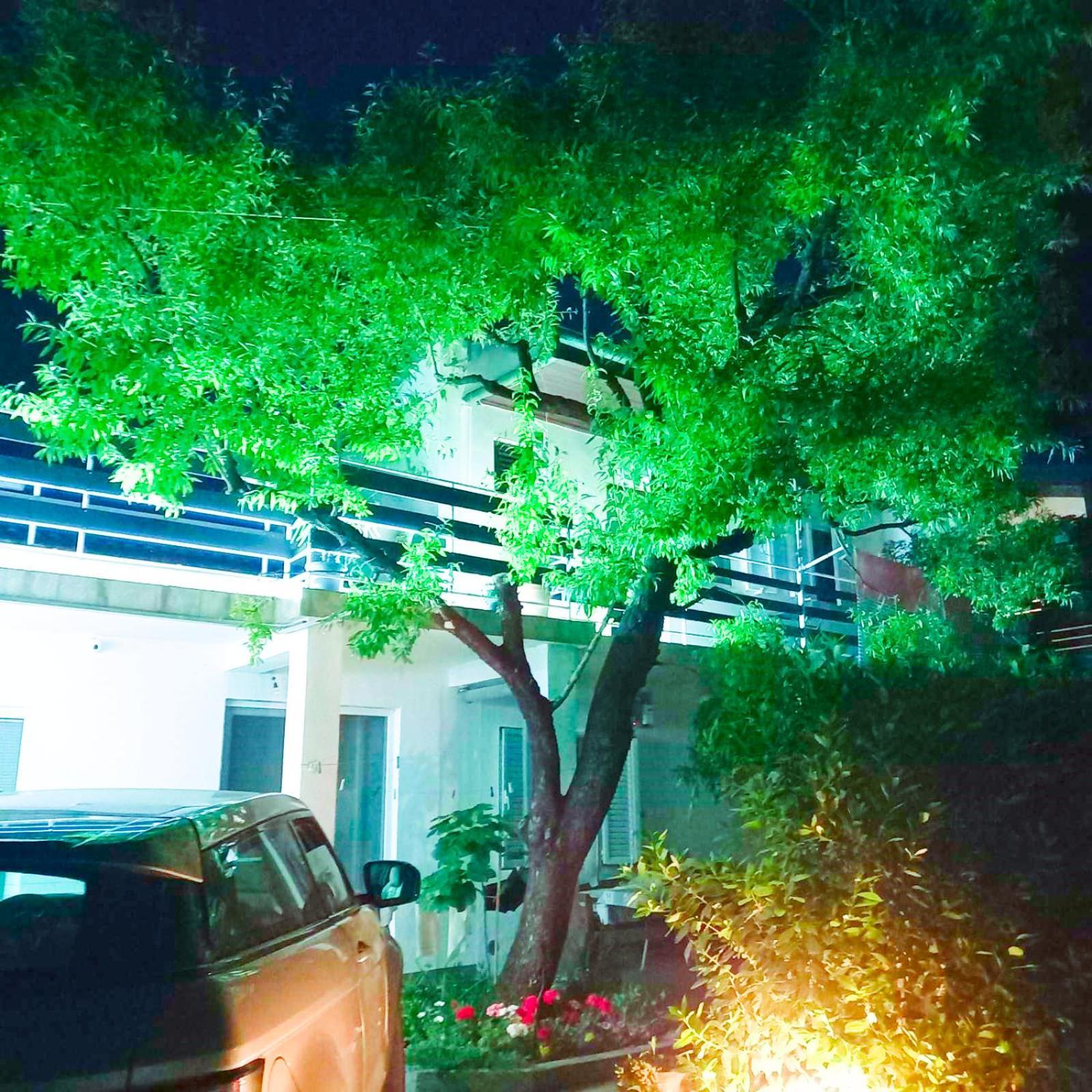 Felix Apartment Biograd Biograd Na Moru Ngoại thất bức ảnh