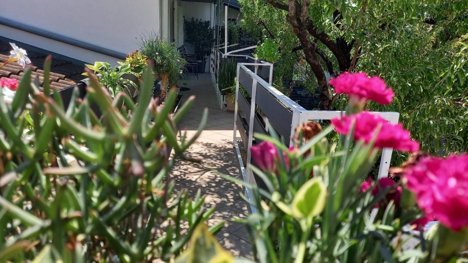 Felix Apartment Biograd Biograd Na Moru Ngoại thất bức ảnh